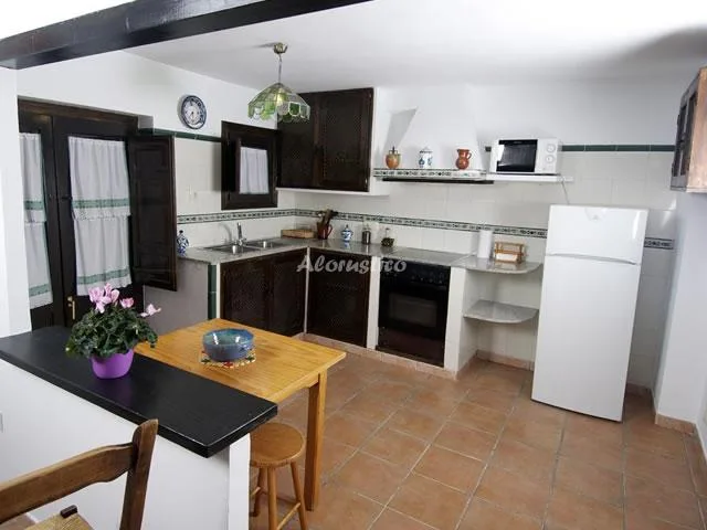 APARTAMENTO ALDABA en GRANADA — foto 2