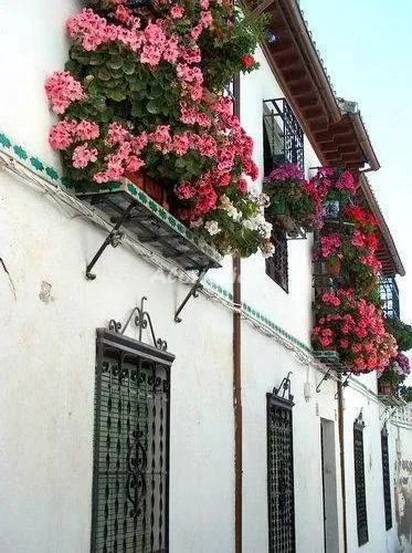 CASA AIRE. en GRANADA — miniatura 16
