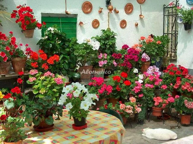 CASA AIRE. en GRANADA — miniatura 10