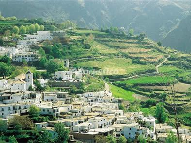 Alojamiento turístico CORTIJO LA VIGA en ÓRGIVA, GRANADA