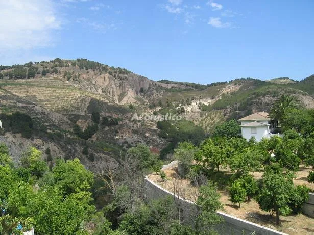 Alojamiento turístico LAS PALMERAS en CONCHAR · GRANADA