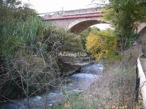LAS PALMERAS en CONCHAR — miniatura 11