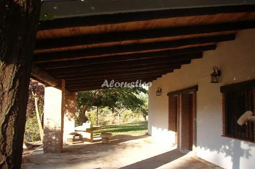 LAS PALMERAS en CONCHAR — miniatura 5