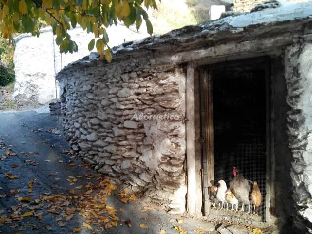 CASA MARGARITA en BUBIÓN — miniatura 23