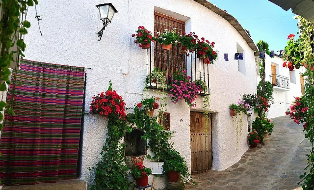 CASA LA VILLA en BUBIÓN — miniatura 17