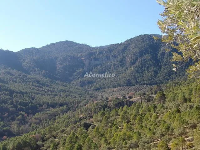 CORTIJO EL REY, CASTILLO (AHORA ES GR-1594.M1.1) en CAMPO CAMARA — miniatura 10