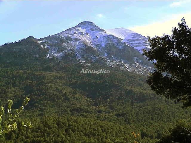 Alojamiento turístico CASA CUEVA Nº1 en CASTILLEJAR, GRANADA
