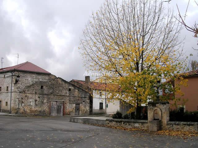 Alojamiento turístico LA ALEGRÍA DE LA ALCARRÍA-CASA MEDIANA en TORREMOCHA DEL CAMPO, GUADALAJARA