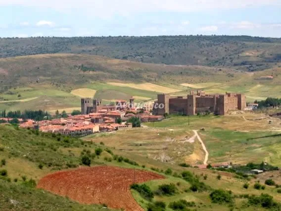 LA ALEGRÍA DE LA ALCARRÍA-CASA GRANDE en TORREMOCHA DEL CAMPO — miniatura 11