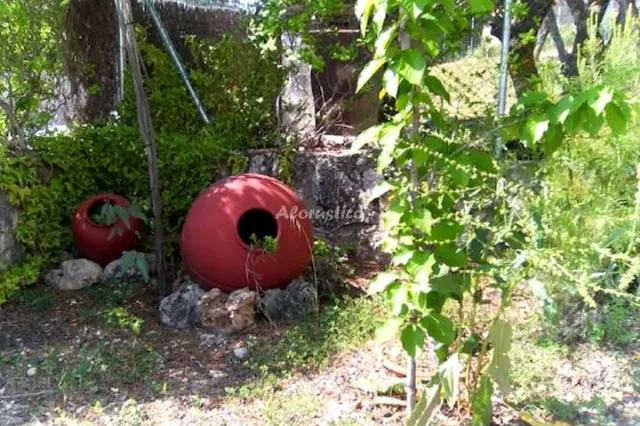 APTO ALBALATE en ALBALATE DE ZORITA — miniatura 14