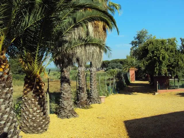 COMPLEJO CAÑADA DEL RUIDO - CASA Nº 3 (ESTUDIO) en CARTAYA — foto 3