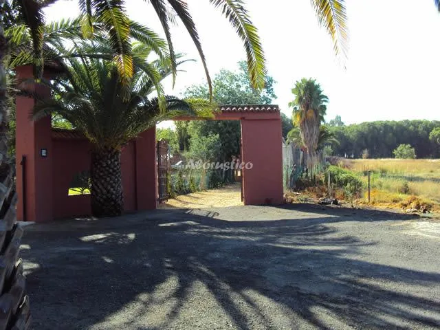 COMPLEJO CAÑADA DEL RUIDO - CASA Nº 3 (ESTUDIO) en CARTAYA — miniatura 9