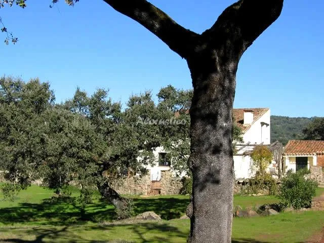 FINCA LA SILLADILLA - SILLADILLA ALTA en JABUGO — miniatura 8