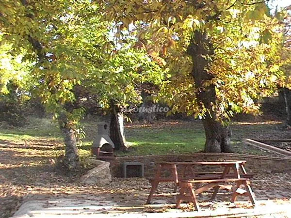 EL TORNERO II en ARACENA — miniatura 9