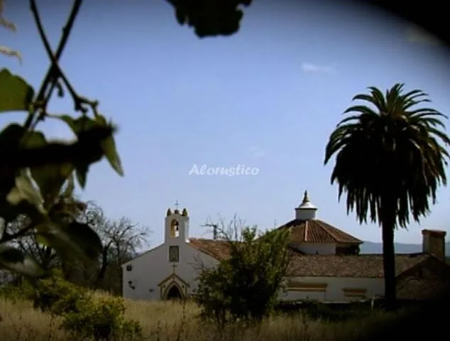 Casa de Campo El Olivo en CALA — miniatura 20
