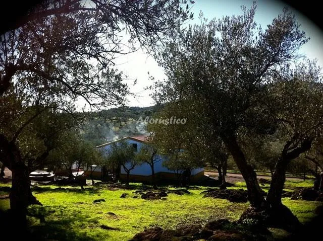 Casa de Campo El Olivo en CALA — foto 3