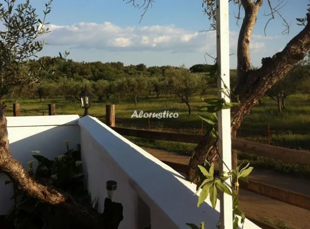 Casa de Campo El Olivo en CALA — miniatura 9