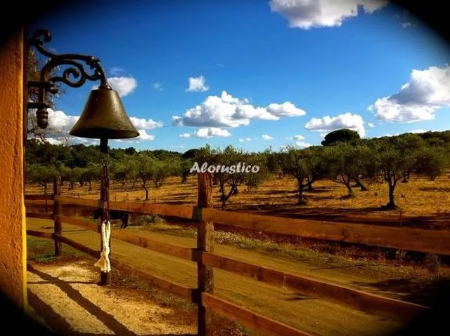 Casa de Campo El Olivo en CALA — miniatura 18