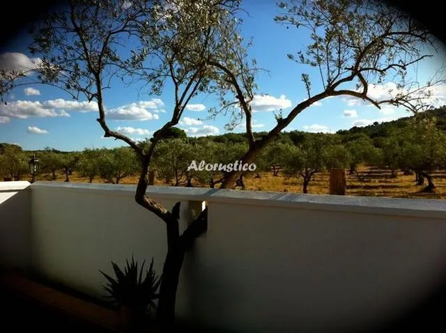 Casa de Campo El Olivo en CALA — miniatura 27