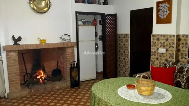 LA CASA DE LA FUENTE en ALDEA CANALEJA — miniatura 9