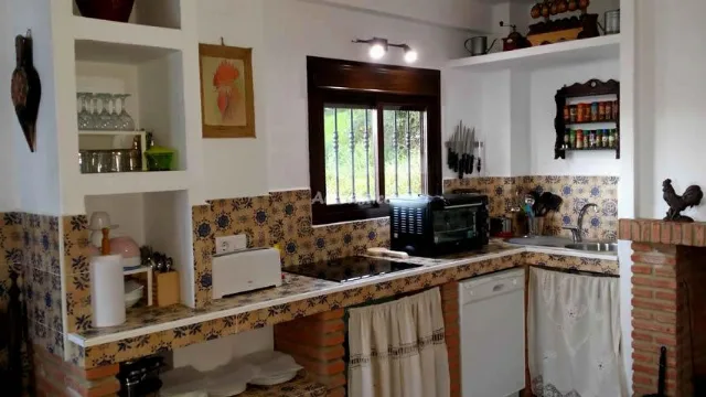 LA CASA DE LA FUENTE en ALDEA CANALEJA — miniatura 18