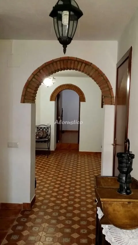 LA CASA DE LA FUENTE en ALDEA CANALEJA — miniatura 23