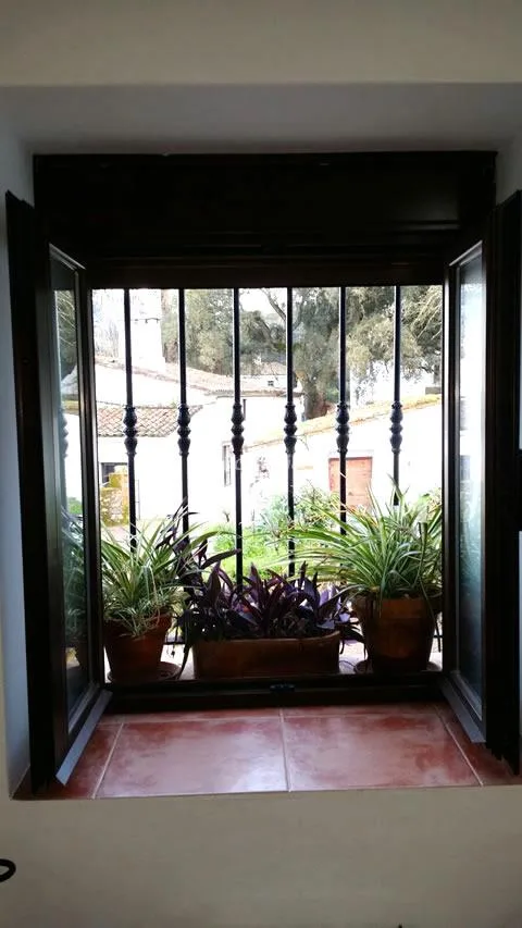 LA CASA DE LA FUENTE en ALDEA CANALEJA — miniatura 26