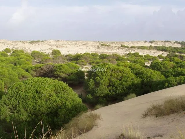 FARO DEL SUR-APTO ARRIBA 1 en ISLA CRISTINA — miniatura 13