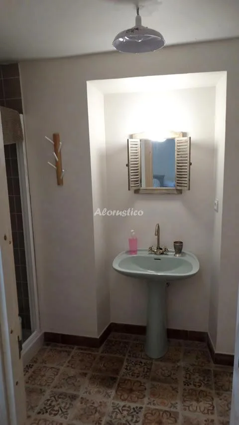 CASA VALLE DE TENA en SALLENT DE GÁLLEGO — miniatura 11