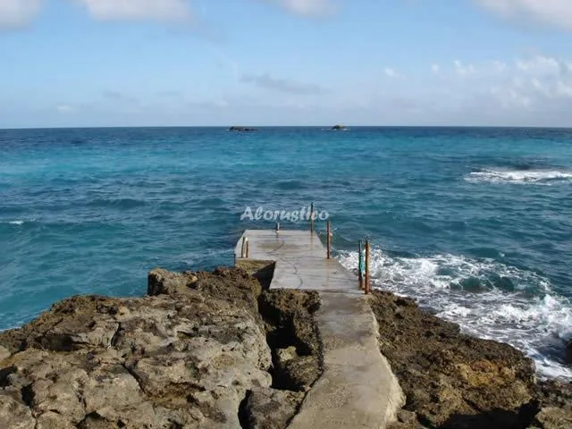 HUERTO DE LAS ADELFAS en SANTA EULALIA DEL RIO — miniatura 13