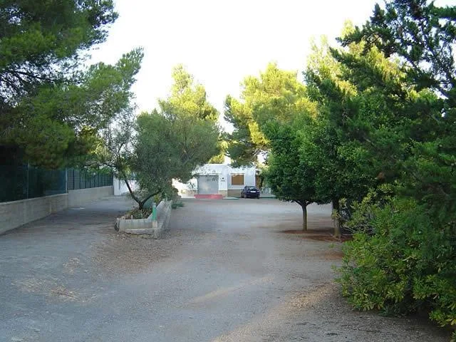 HUERTO DE LAS ADELFAS en SANTA EULALIA DEL RIO — miniatura 8