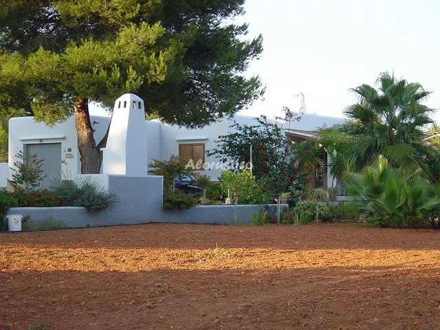 HUERTO DE LAS ADELFAS en SANTA EULALIA DEL RIO — miniatura 14
