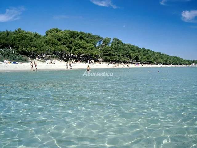 ESTUDIO SIESTA I en PUERTO DE ALCUDIA — miniatura 5