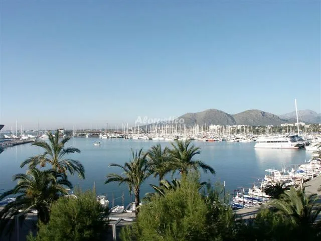 ESTUDIO SIESTA I en PUERTO DE ALCUDIA — miniatura 9