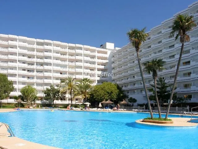 ESTUDIO SIESTA I en PUERTO DE ALCUDIA — miniatura 4