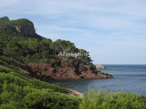 CAN JAUME en PORT DES CANONGE — miniatura 9