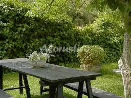 CASA LA PLANA en POLLENÇA — miniatura 23