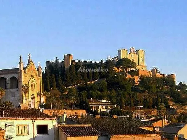 CA NA MOLÍ en ARTA — miniatura 4