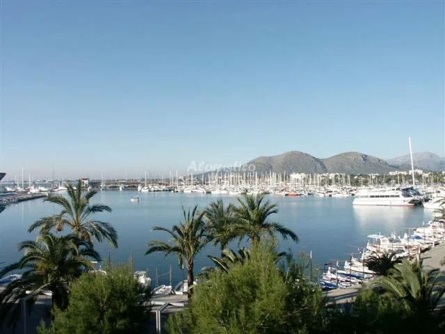 ESTUDIO SIESTA 2 en PUERTO DE ALCUDIA — miniatura 9