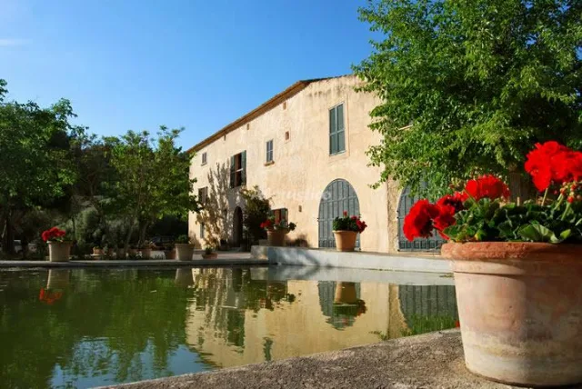 AGROTURISMO SON NOT - APTO B en ARTÁ — miniatura 15