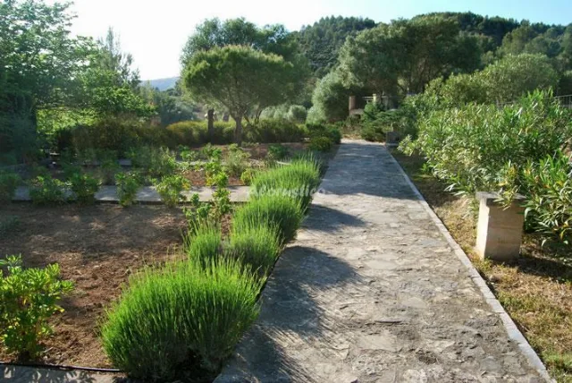 AGROTURISMO SON NOT- APTO C en ARTÁ — miniatura 14