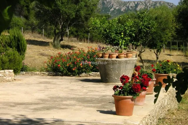 AGROTURISMO SON NOT- APTO C en ARTÁ — miniatura 15