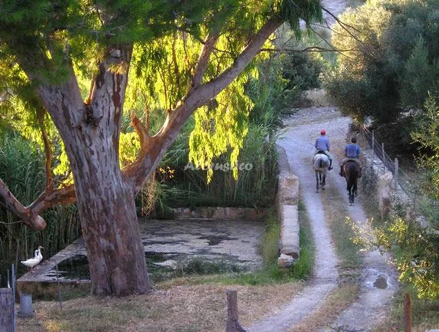 AGROTURISMO SON NOT- APTO C en ARTÁ — miniatura 16