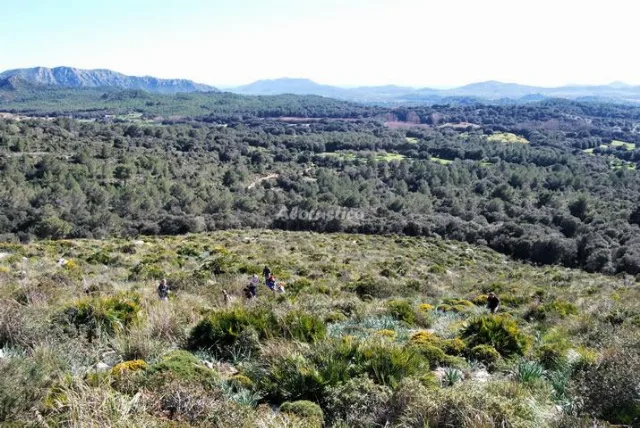 AGROTURISMO SON NOT- APTO C en ARTÁ — miniatura 24