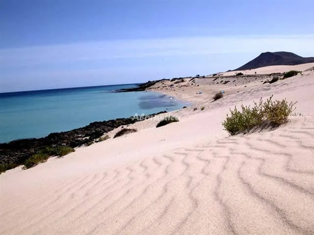 Alojamiento turístico CASA PEDRO en VILLAVERDE · ISLAS CANARIAS