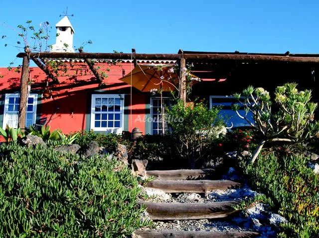 FINCA LORE ARTE en ARAFO — miniatura 8