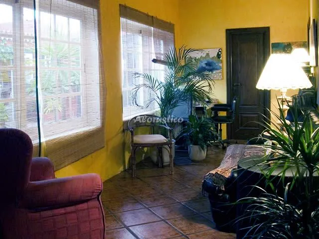 FINCA LORE ARTE en ARAFO — miniatura 14