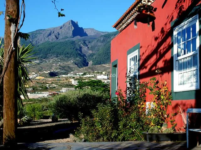 FINCA LORE ARTE en ARAFO — miniatura 5
