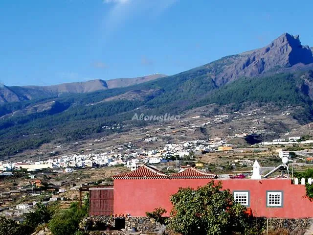 FINCA LORE ARTE en ARAFO — miniatura 18