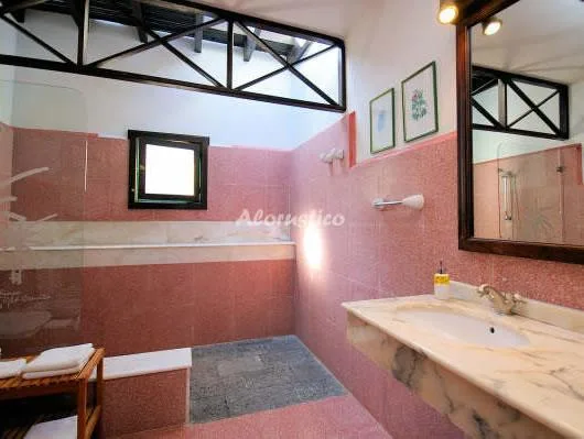 FINCA LA CRUCITA-CASA TABAYESCO en HARÍA — miniatura 13